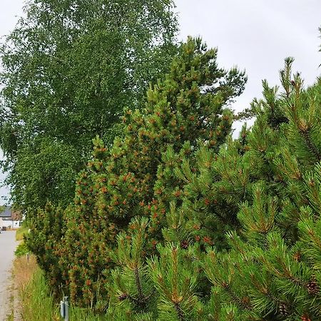 Haus Seefeld يوكيريتز المظهر الخارجي الصورة