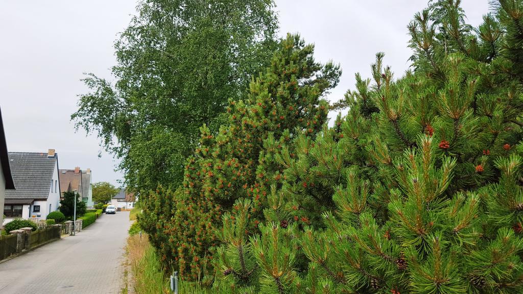 Haus Seefeld يوكيريتز المظهر الخارجي الصورة